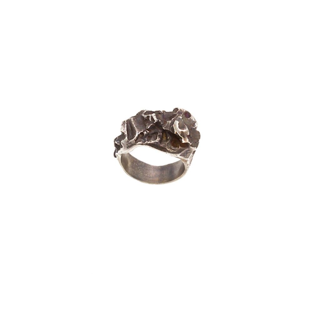 Doctum Doces Collection Inlay-ring-silver-top-view