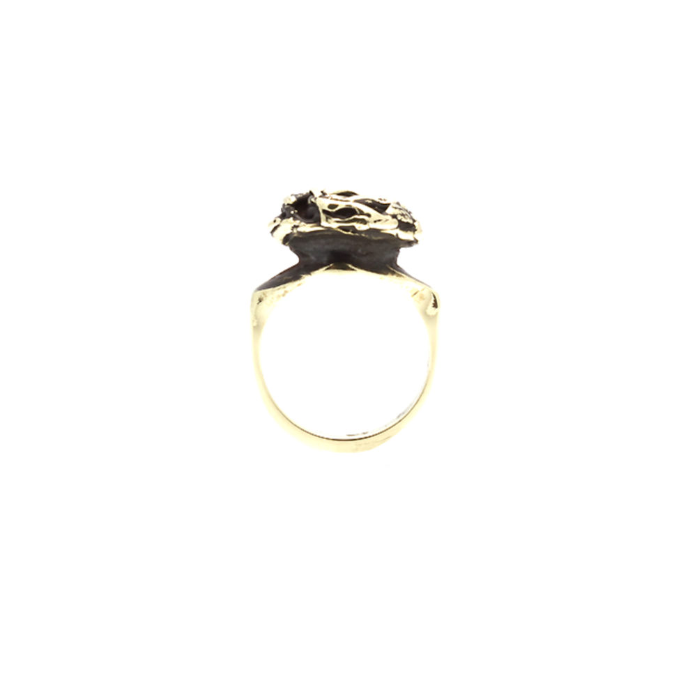 Doctum Doces Collection knot-ring-brass-front-view
