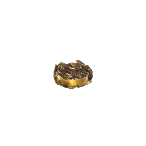 Doctum Doces Collection bark-ring-4-brass-top-view