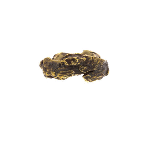 Doctum Doces Collection bark-ring-6-brass-front-view
