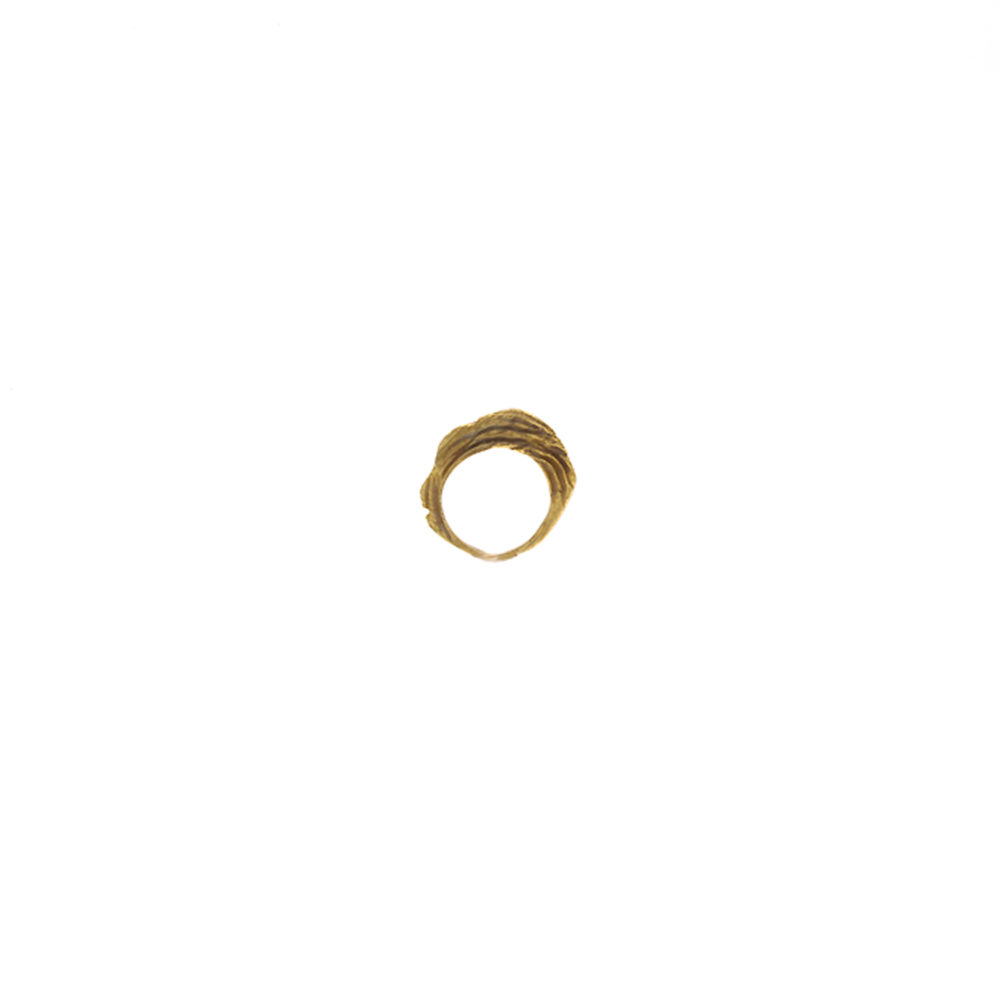 Doctum Doces Collection shake-ring-2-brass-side-b-front-view