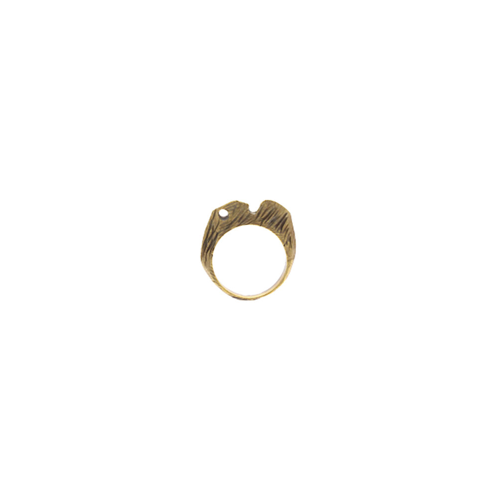 Doctum Doces Collection shake-ring-4-brass-front-view-side-a