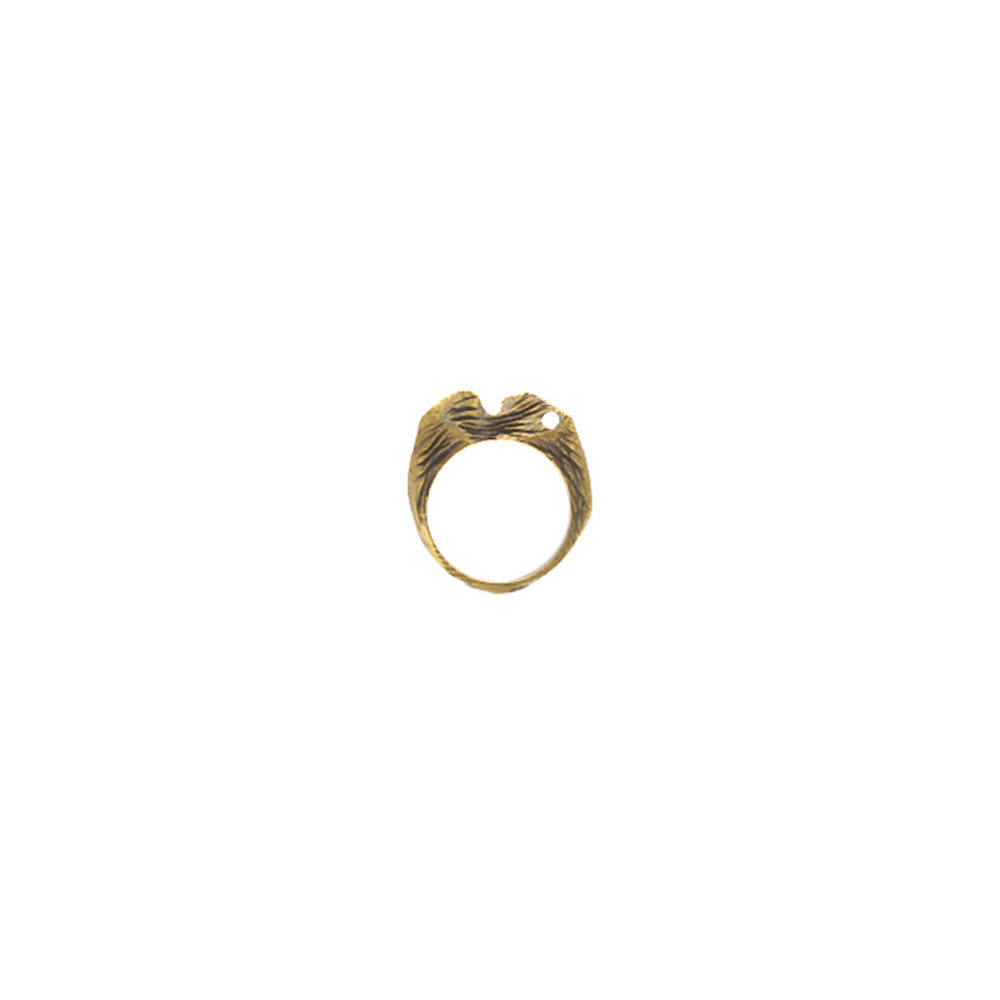 Doctum Doces Collection shake-ring-4-brass-front-view-side-b