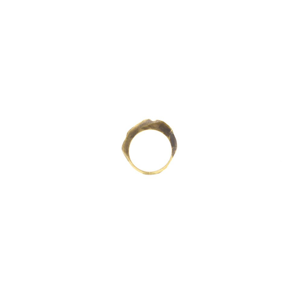 Doctum Doces Collection shake-ring-5-brass-front-view-side-b